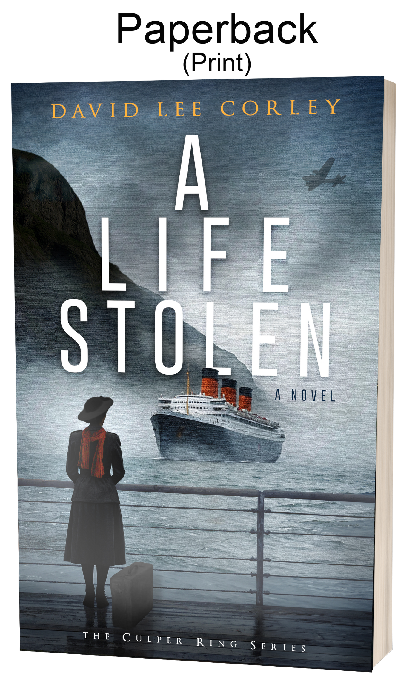 A Life Stolen - A WWII Historical Novel - Paperback