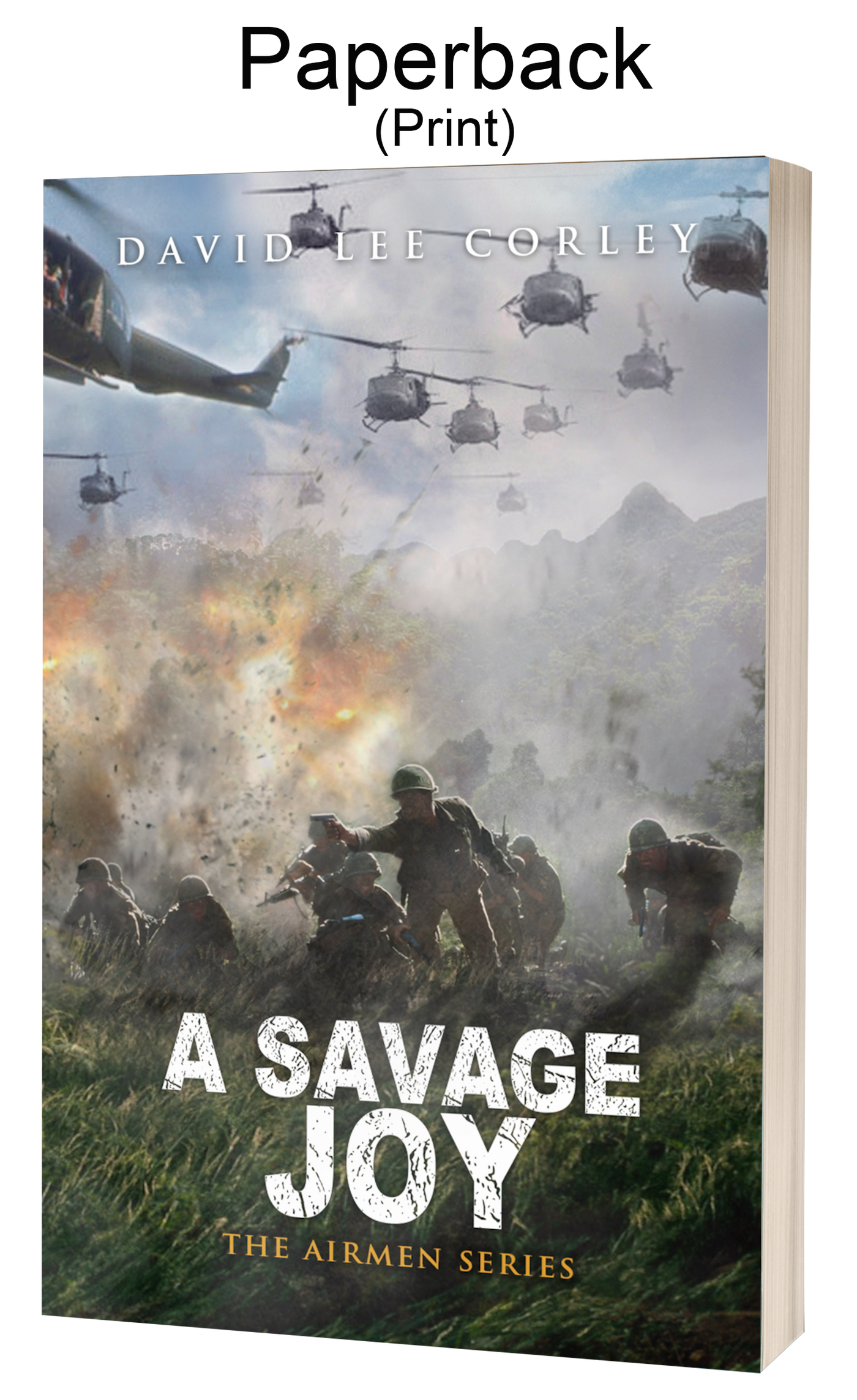 A Savage Joy - A Vietnam War Novel (Airmen Series Book 14) - Paperback