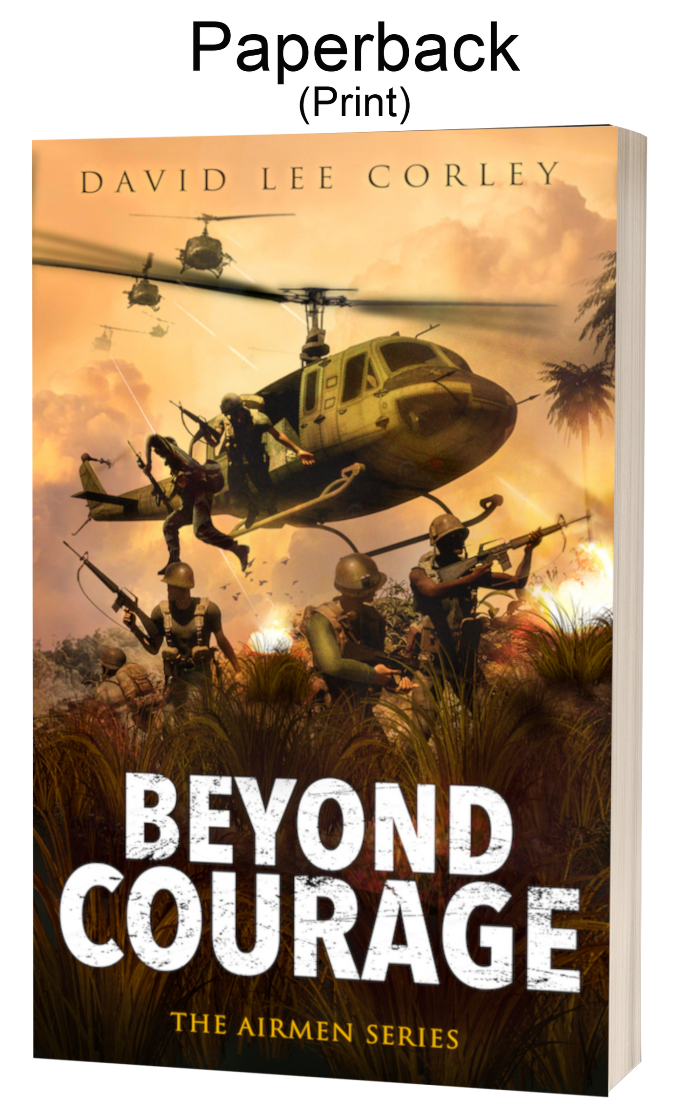 Beyond Courage: A Vietnam War Novel (Airmen Series Book 15) Paperback