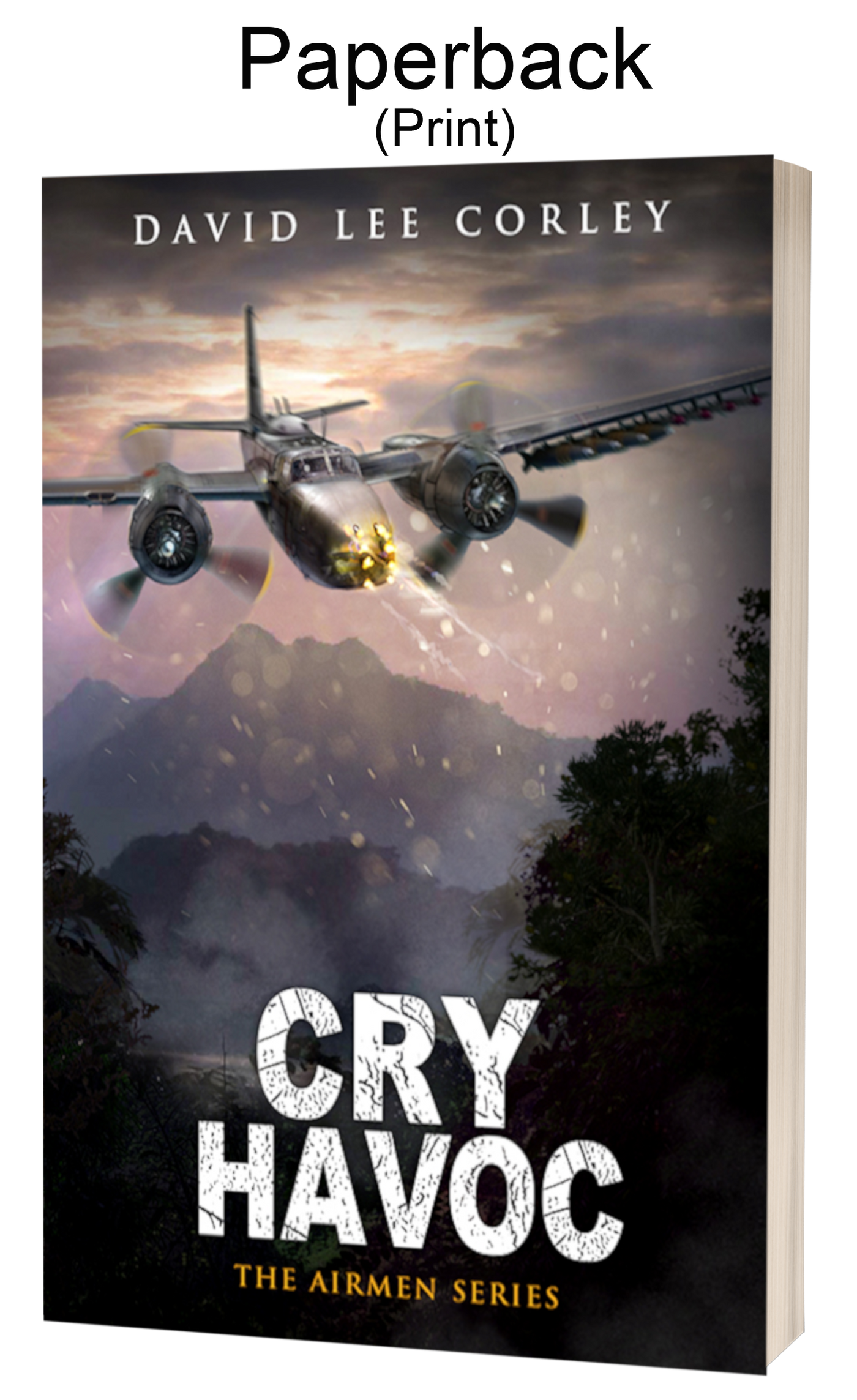 Cry Havoc - A Vietnam War Novel (Airmen Series Book 12) - Paperback