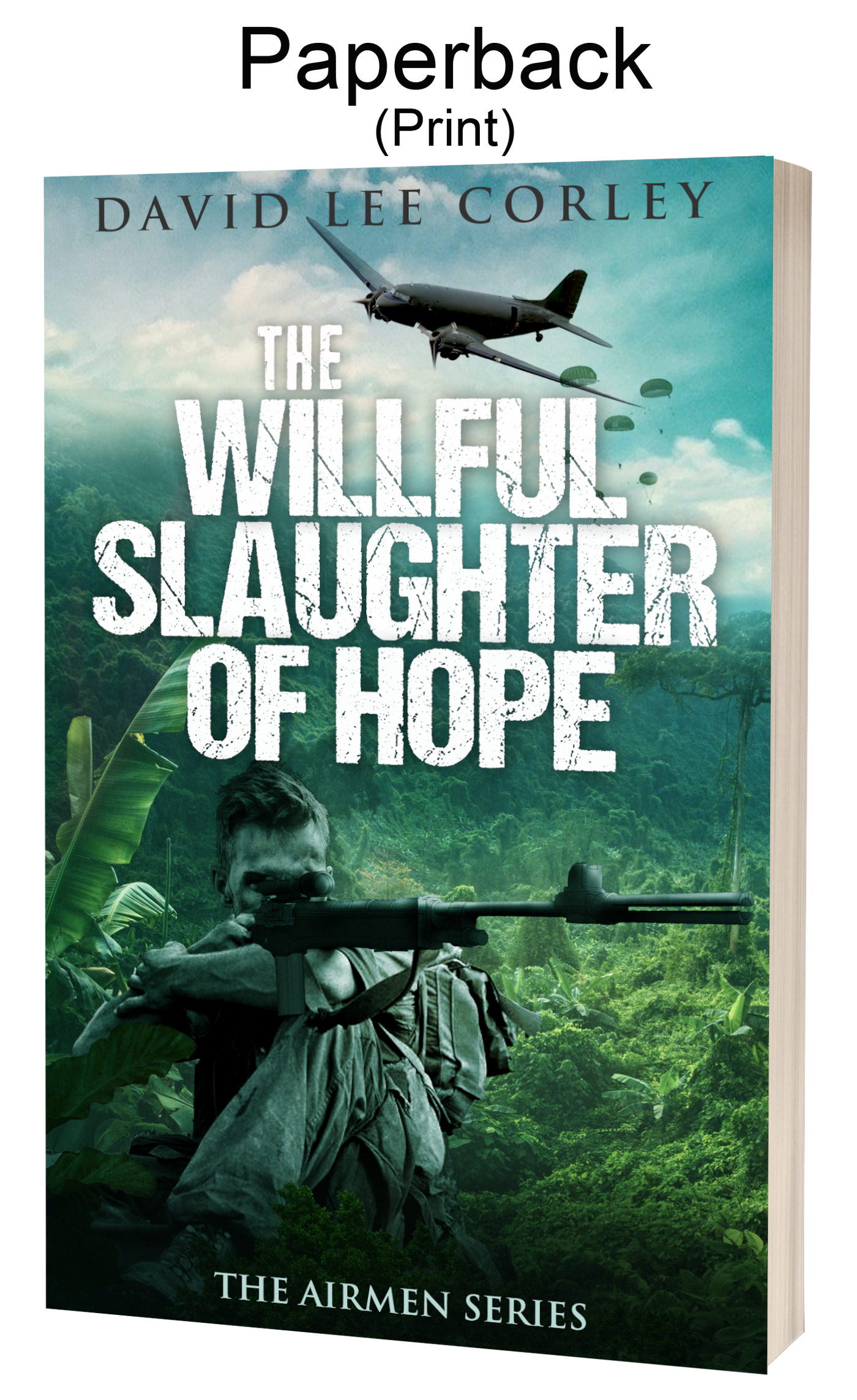 The Willful Slaughter of Hope - A Vietnam War Novel (Airmen Series Book 9) - Paperback