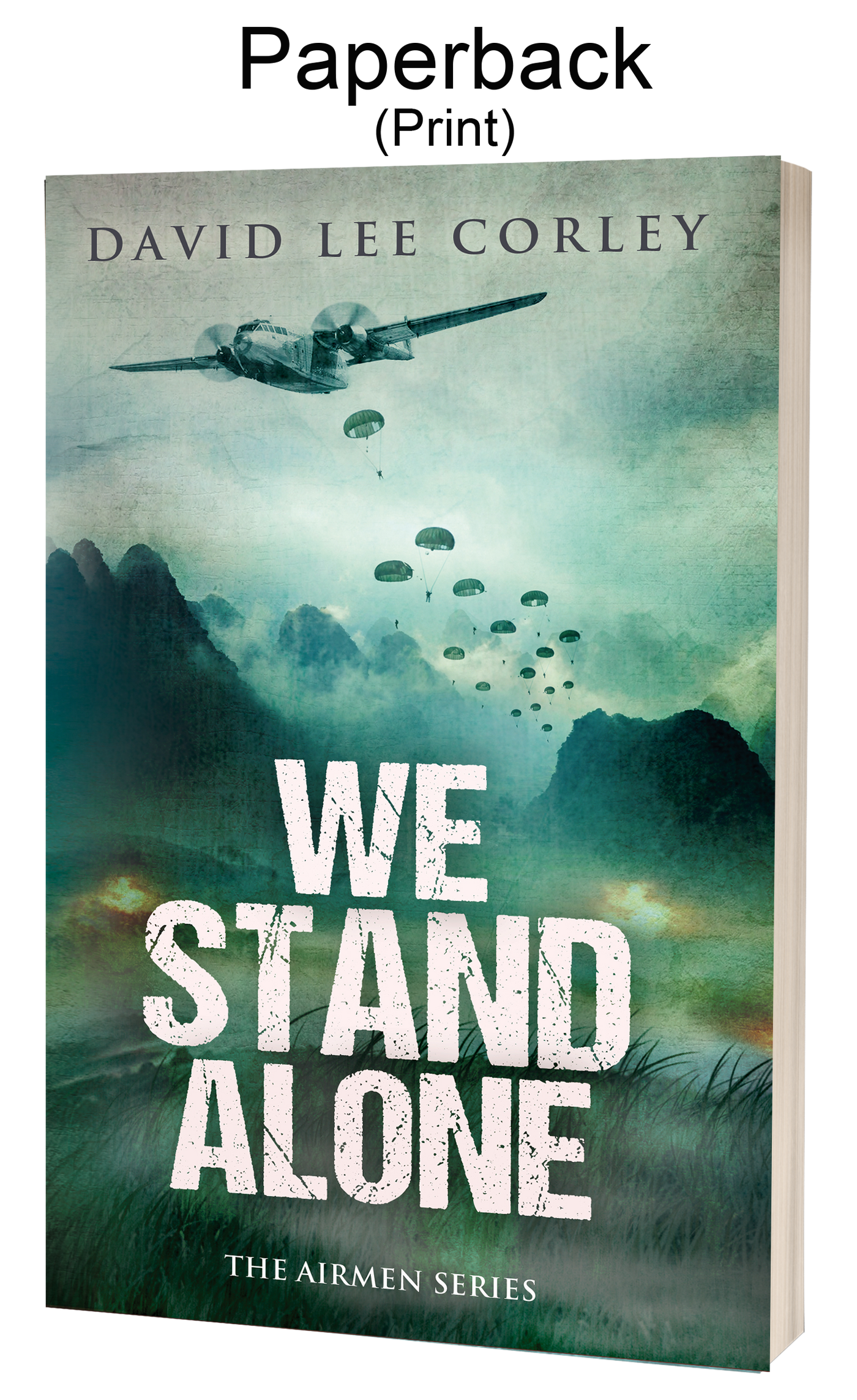 We Stand Alone - A Vietnam War Novel (Airmen Series Book 3) - Paperback